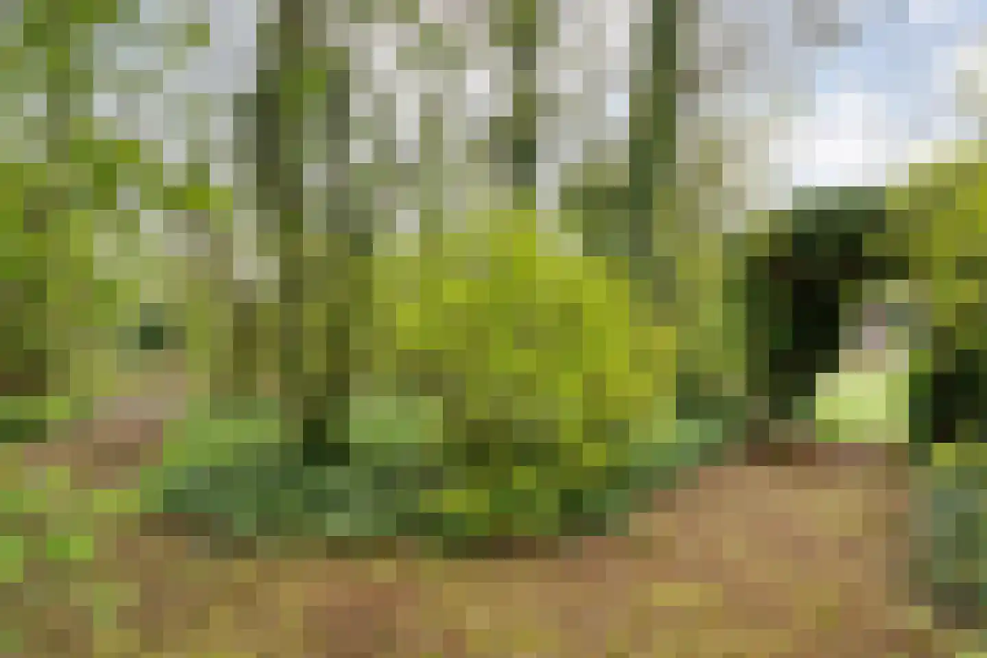 Zende 11 Oosterhesselen thumbnail 48