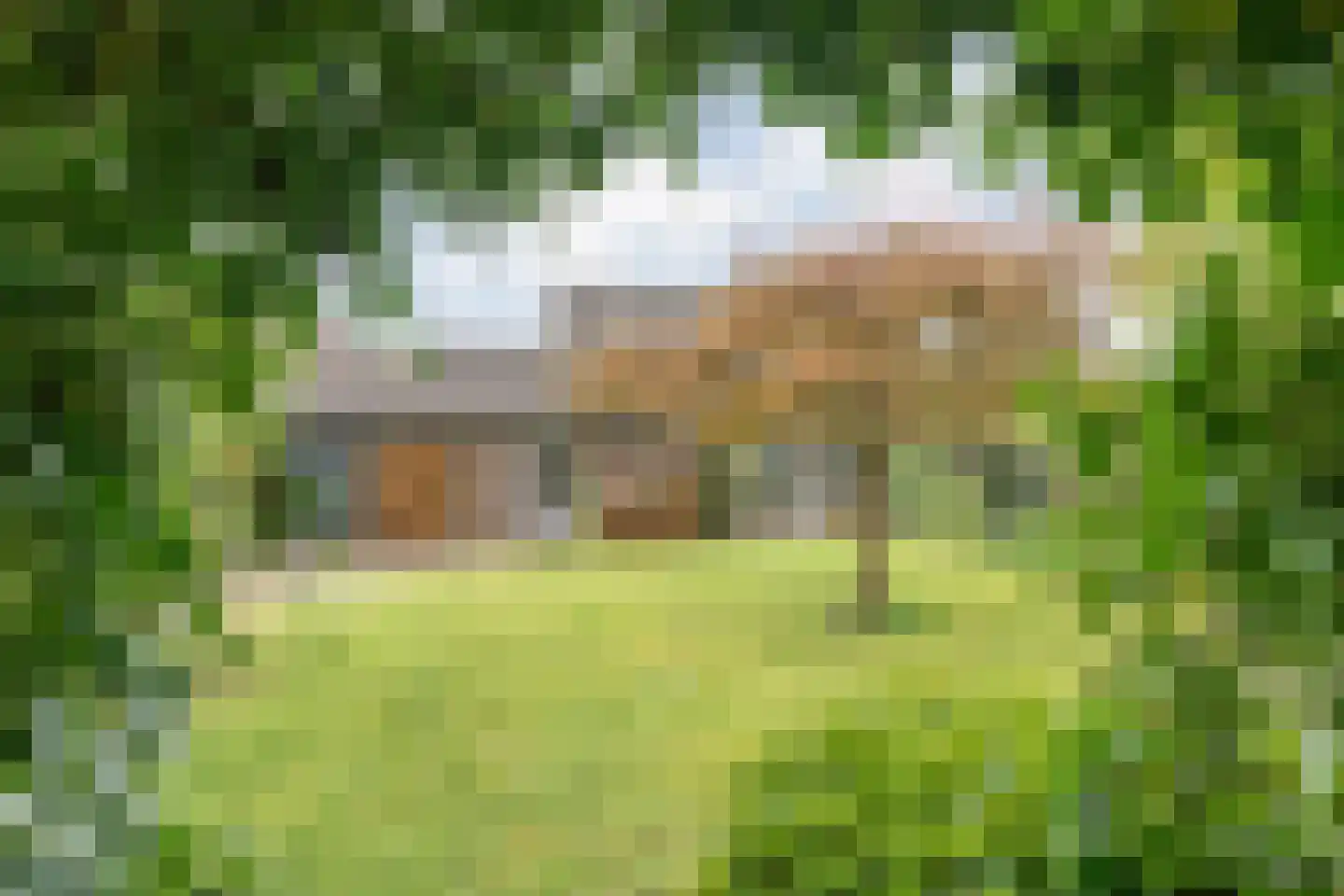 Zende 11 Oosterhesselen thumbnail 49