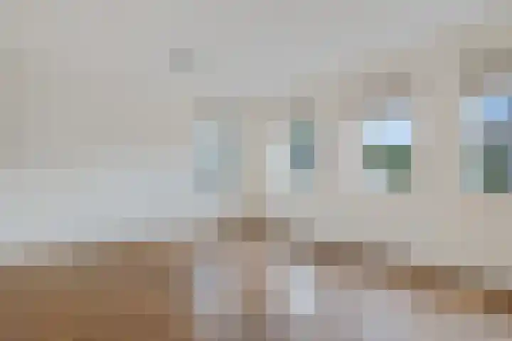 Zende 36 Erica thumbnail 14