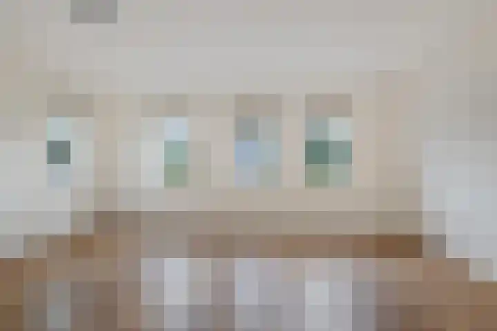 Zende 36 Erica thumbnail 15