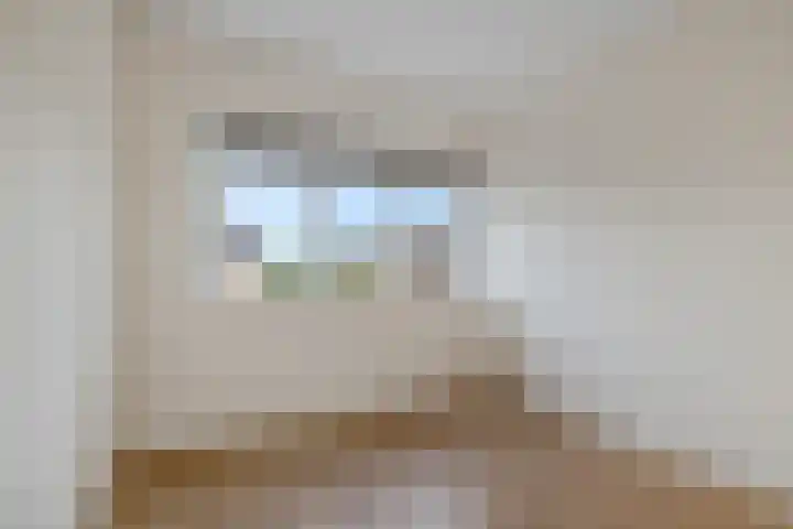 Zende 36 Erica thumbnail 16