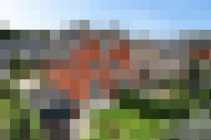 Zende 36 Erica thumbnail 24