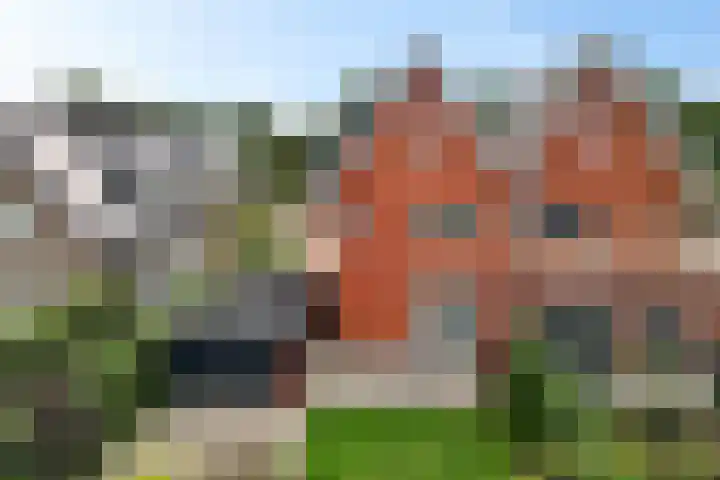 Zende 36 Erica thumbnail 25