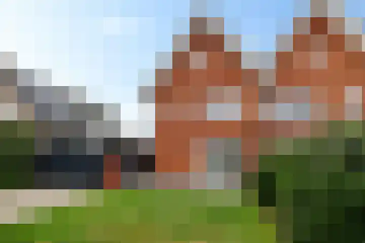 Zende 36 Erica thumbnail 26
