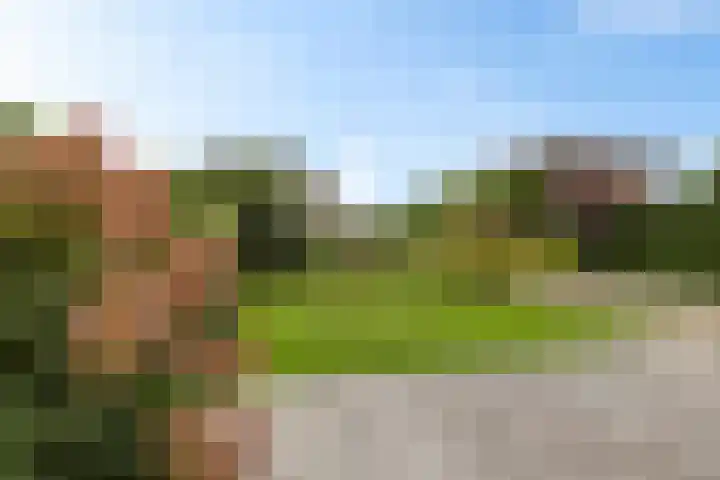 Zende 36 Erica thumbnail 27