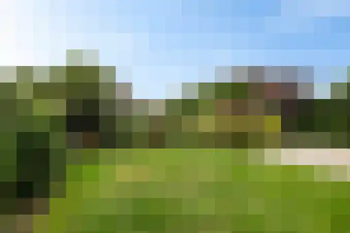 Zende 36 Erica thumbnail 28