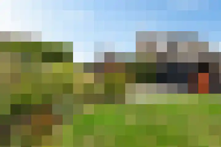 Zende 36 Erica thumbnail 29
