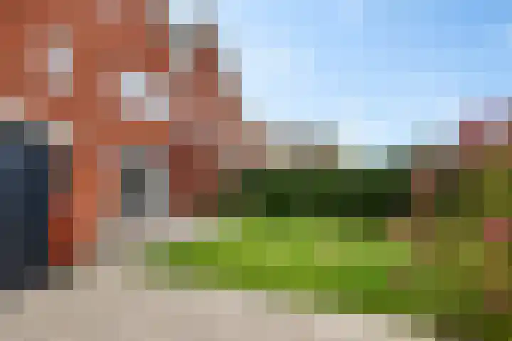 Zende 36 Erica thumbnail 30