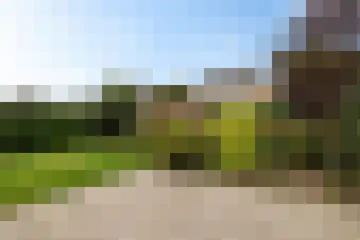 Zende 36 Erica thumbnail 31