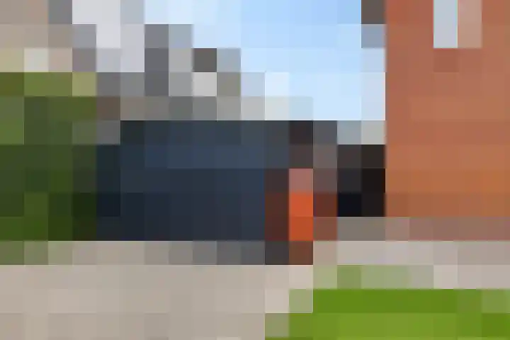 Zende 36 Erica thumbnail 32