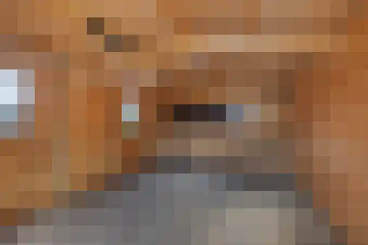 Zende 36 Erica thumbnail 33