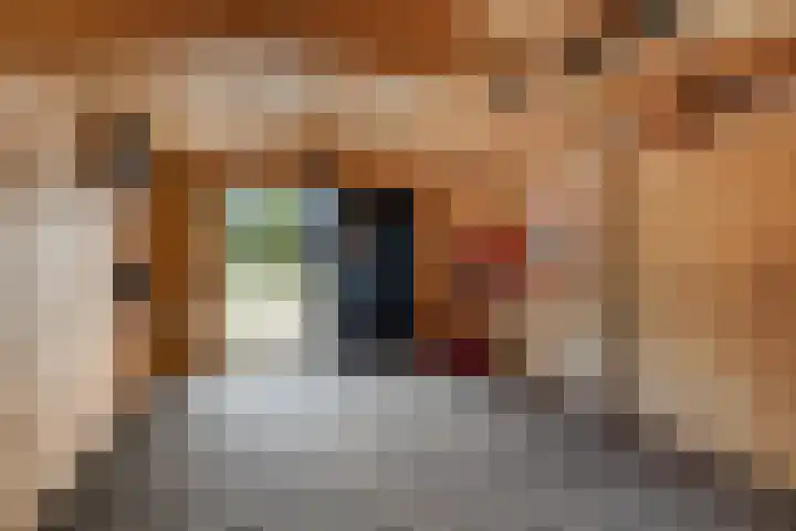 Zende 36 Erica thumbnail 34