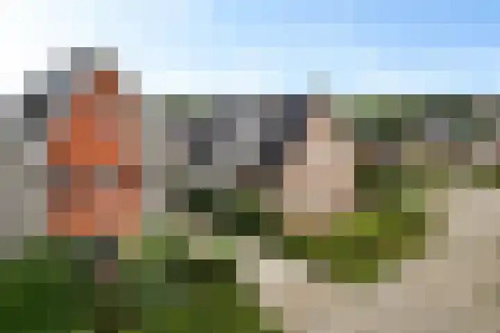 Zende 36 Erica thumbnail 36