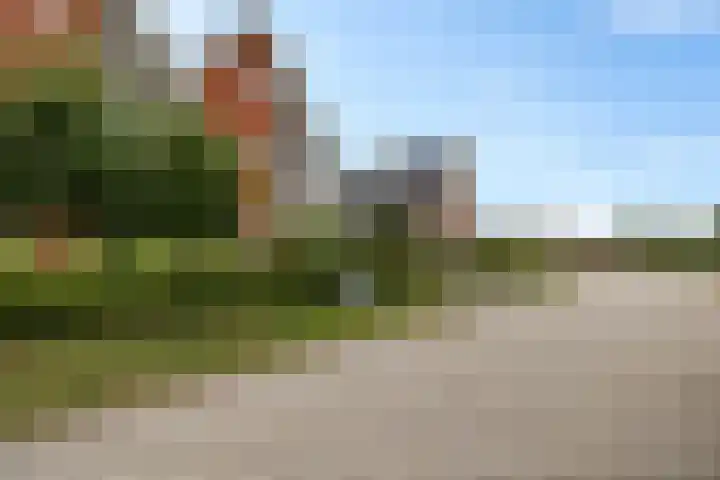 Zende 36 Erica thumbnail 37