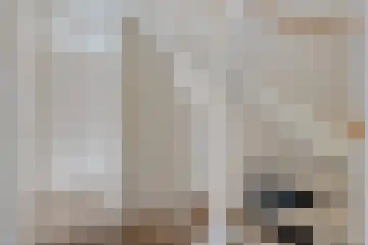 Zende 36 Erica thumbnail 4