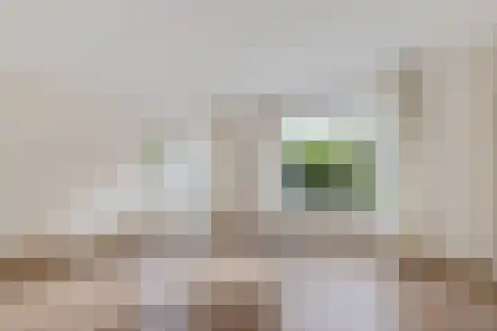 Zende 36 Erica thumbnail 5