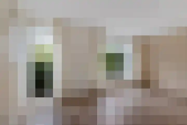 Zende 36 Erica thumbnail 6