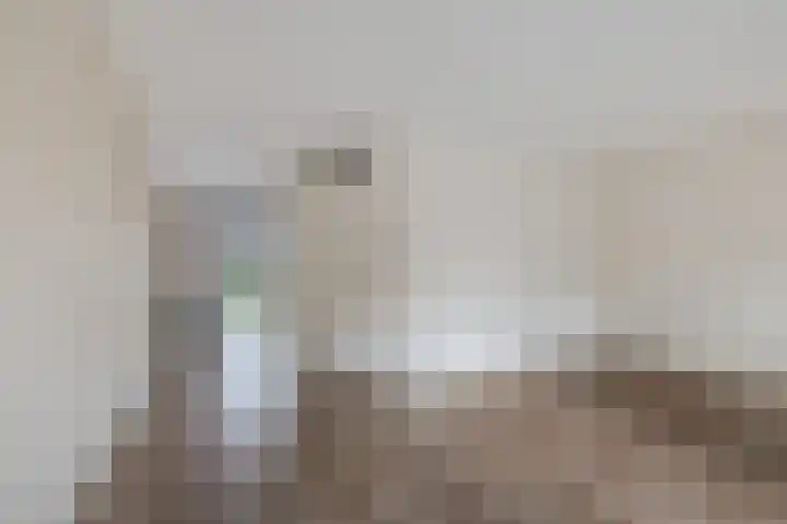 Zende 36 Erica thumbnail 7