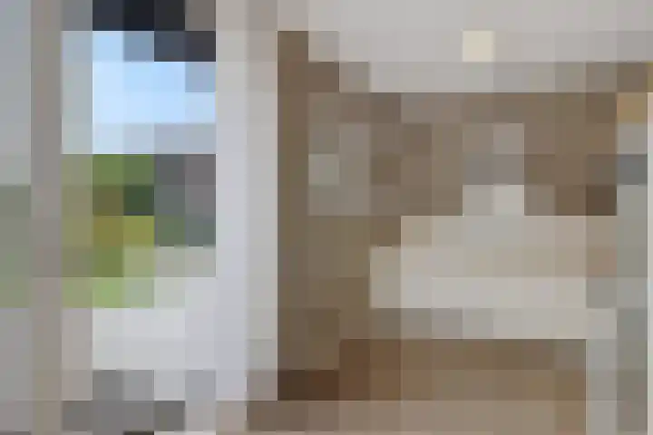 Zende 36 Erica thumbnail 8