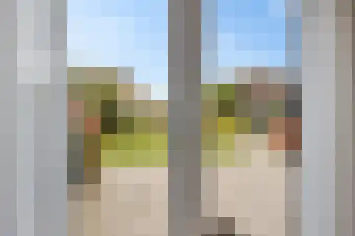 Zende 36 Erica thumbnail 9