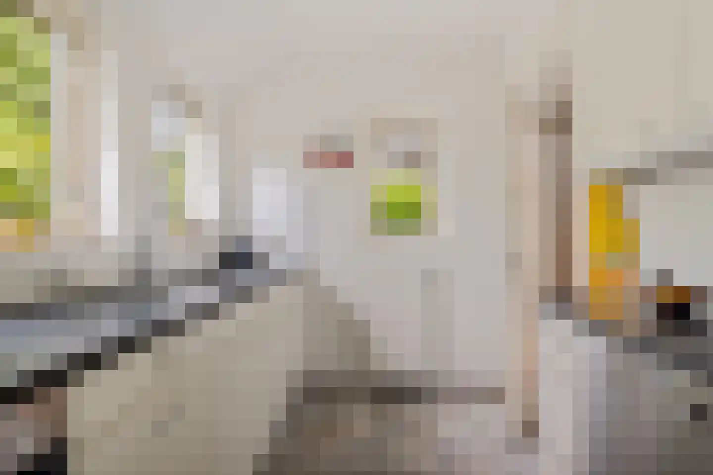 Zende 4 Oosterhesselen thumbnail 13