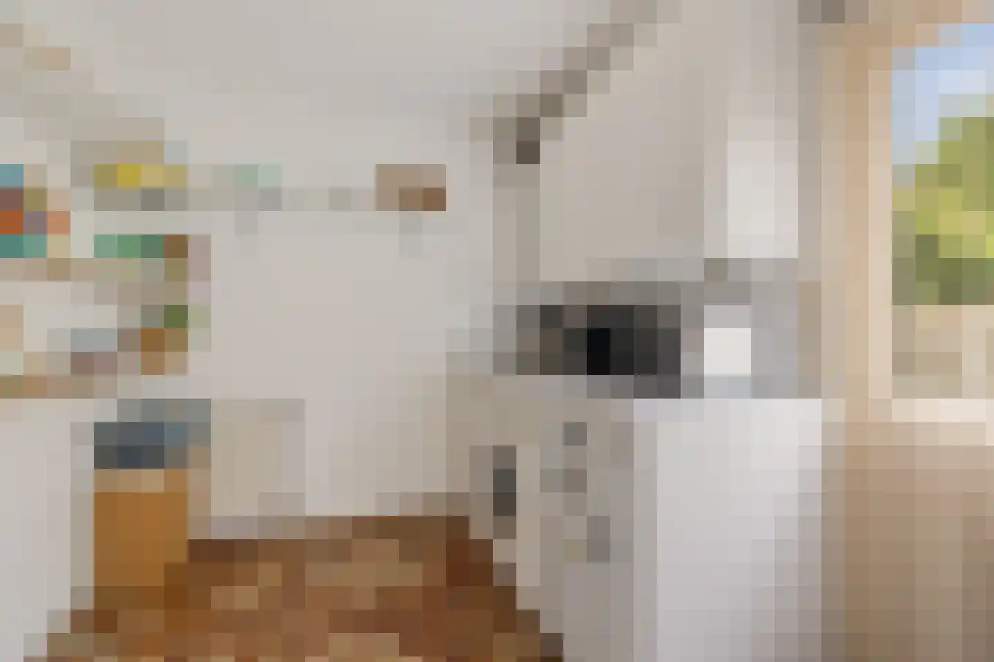 Zende 4 Oosterhesselen thumbnail 16