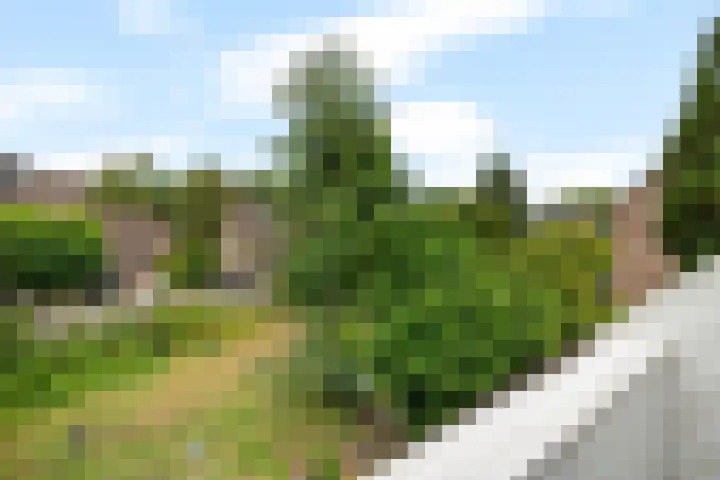 Zende 4 Oosterhesselen thumbnail 32