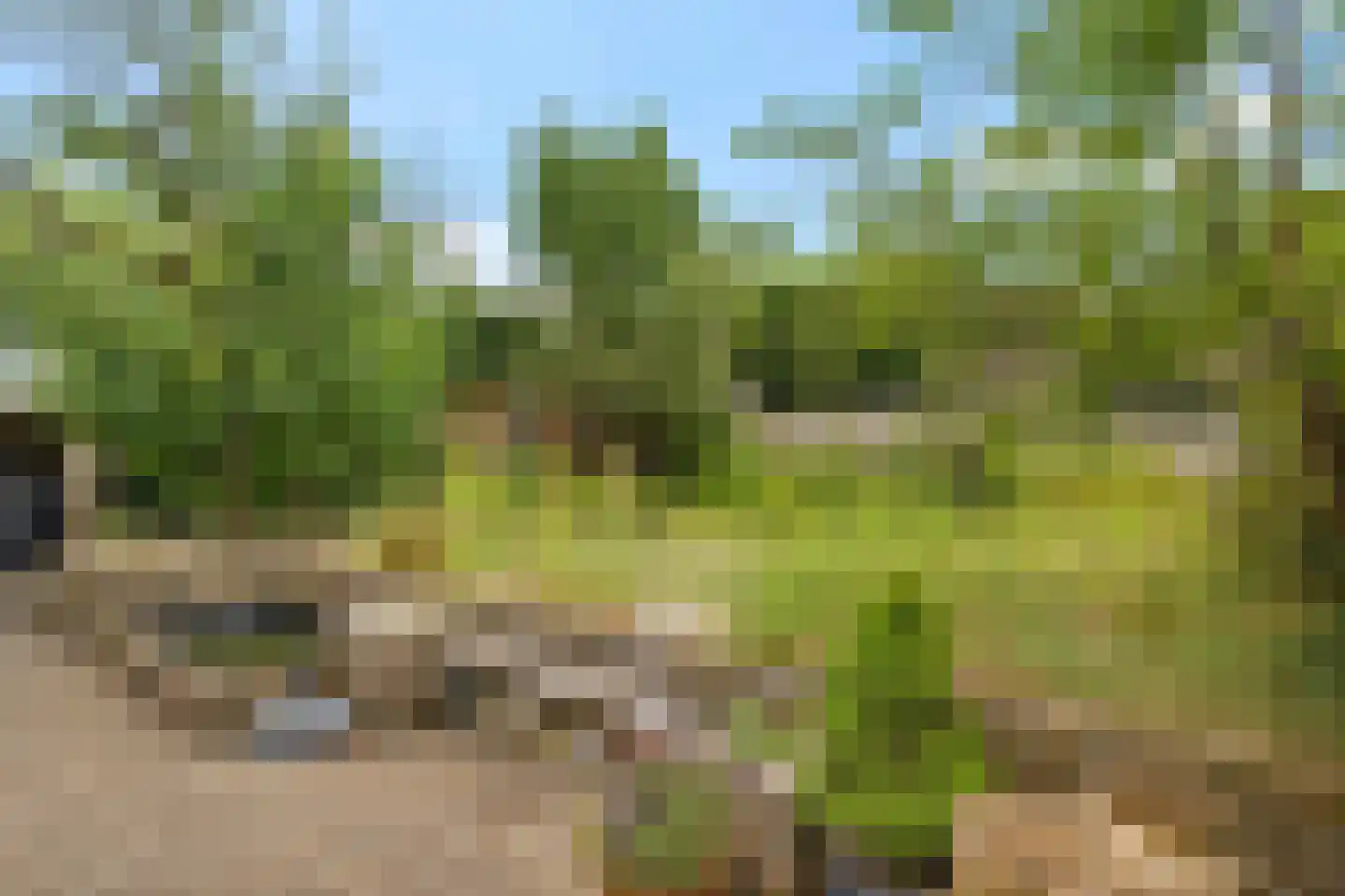 Zende 4 Oosterhesselen thumbnail 35