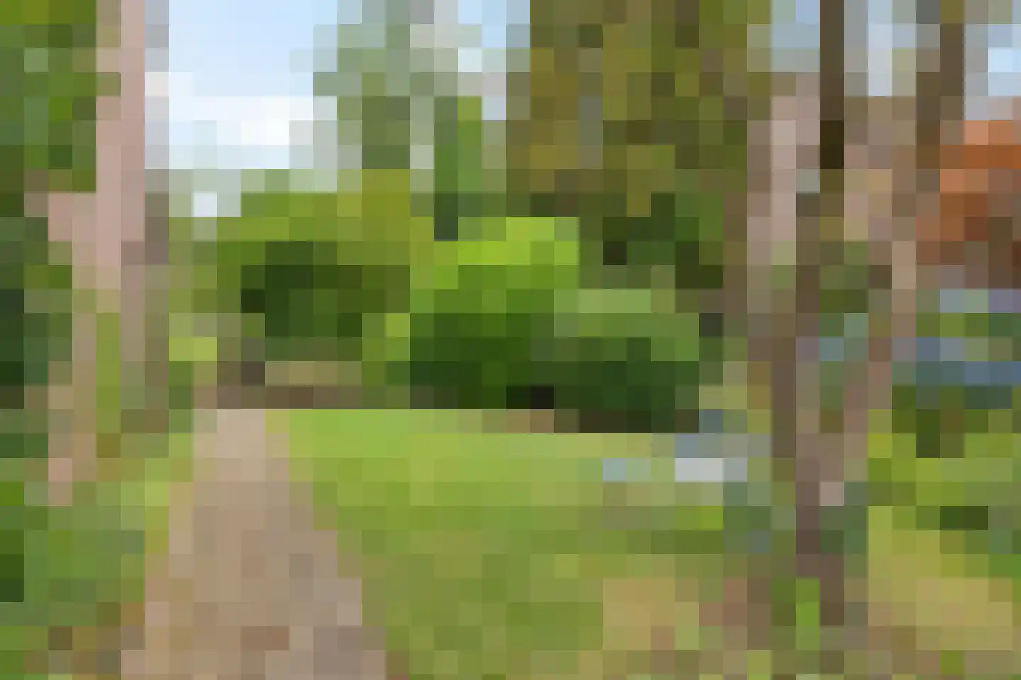Zende 4 Oosterhesselen thumbnail 36