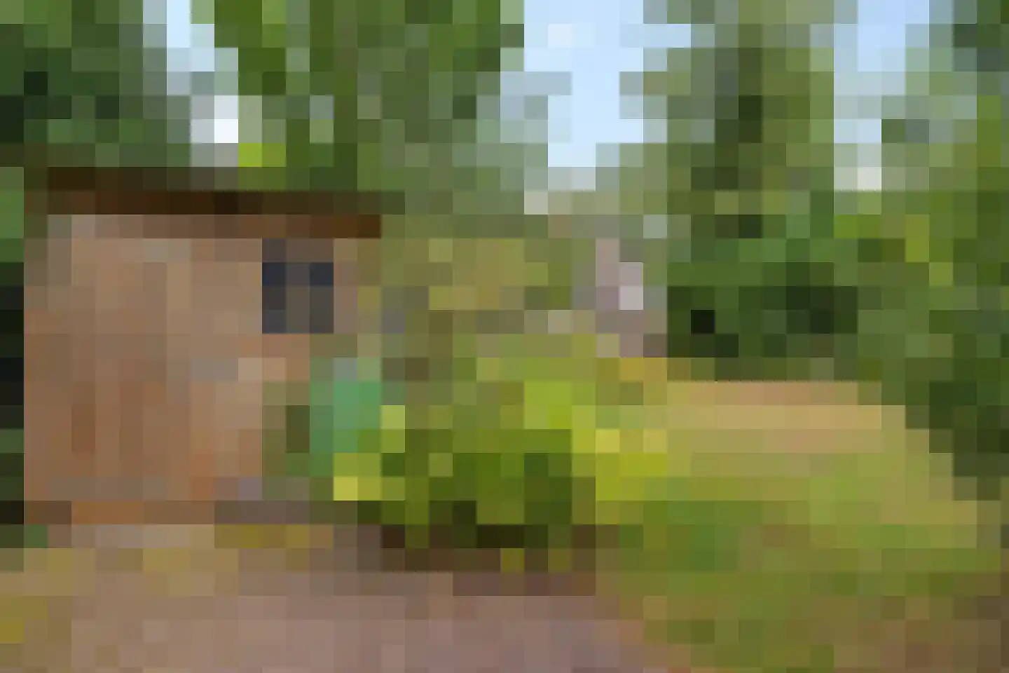 Zende 4 Oosterhesselen thumbnail 38