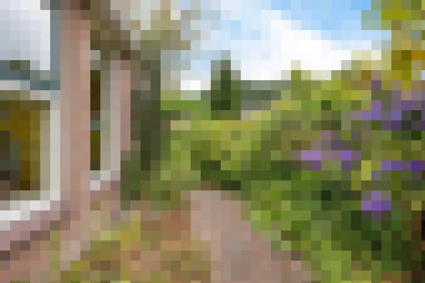 Zende 4 Oosterhesselen thumbnail 39