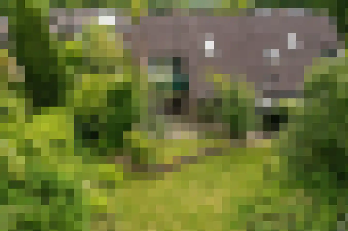 Zende 4 Oosterhesselen thumbnail 4