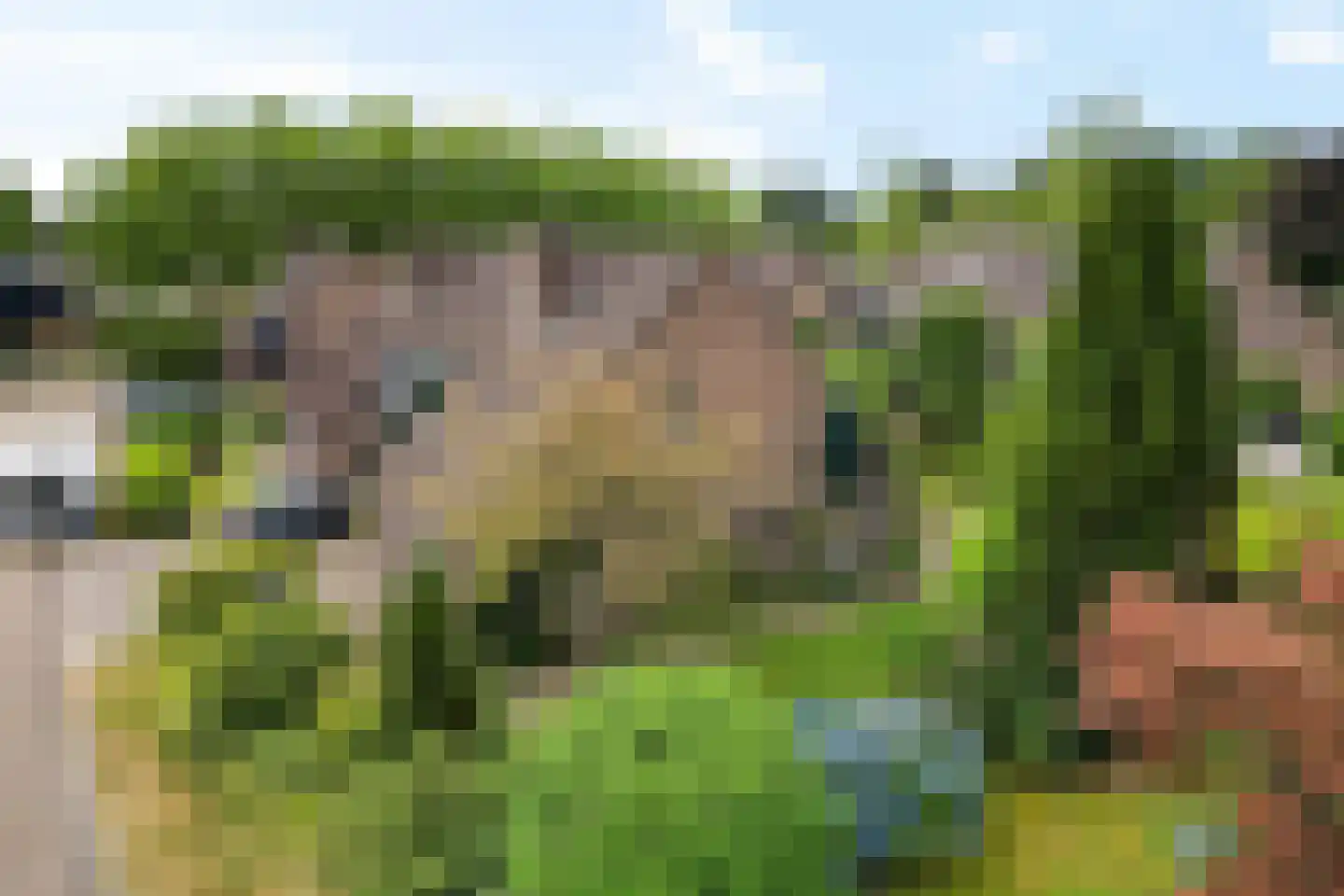 Zende 4 Oosterhesselen thumbnail 40
