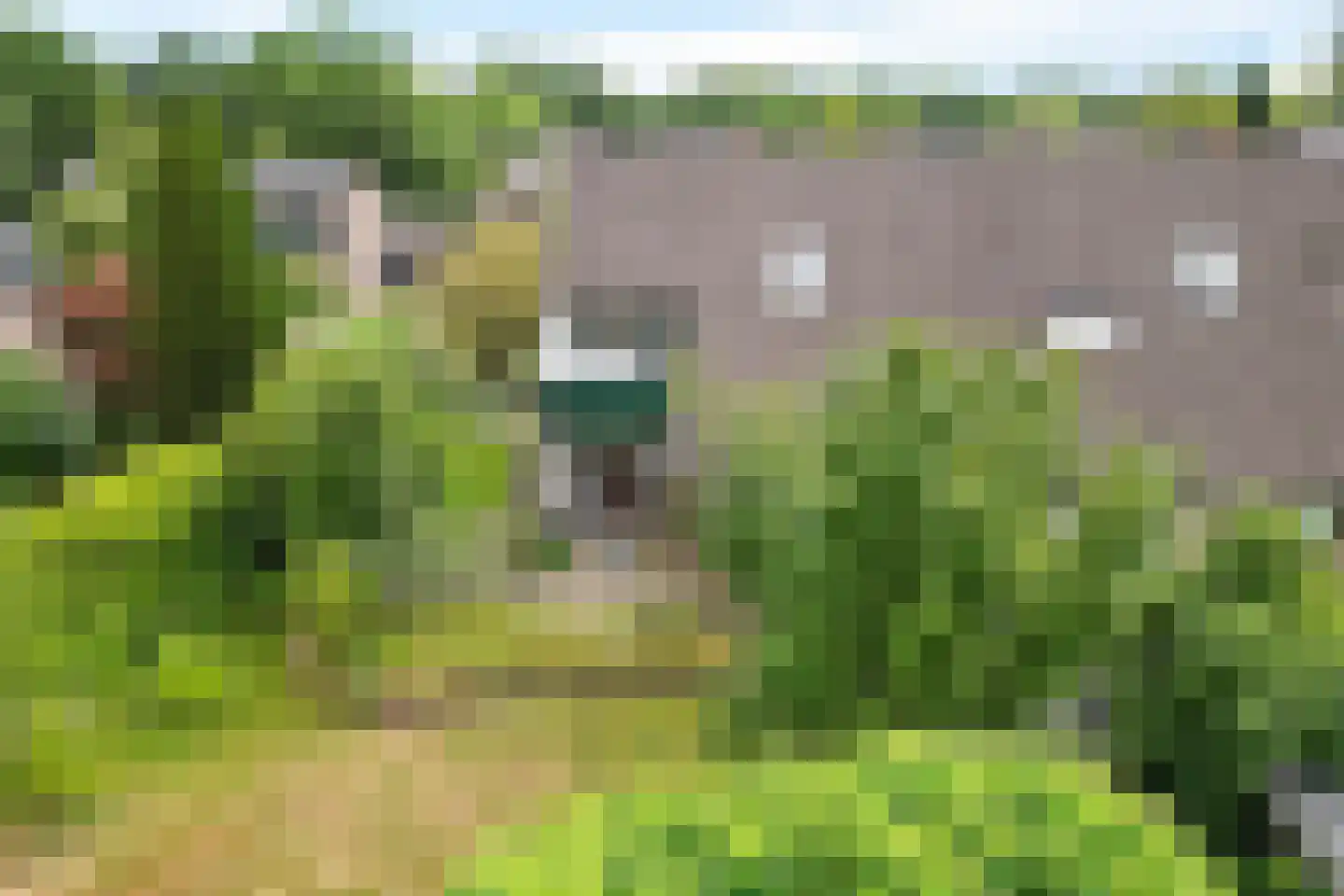 Zende 4 Oosterhesselen thumbnail 41