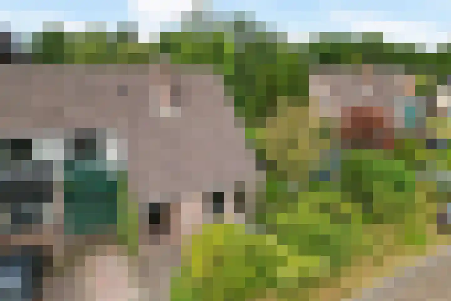 Zende 4 Oosterhesselen thumbnail 43
