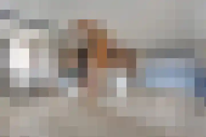 Zende 48 Zuidwolde thumbnail 24