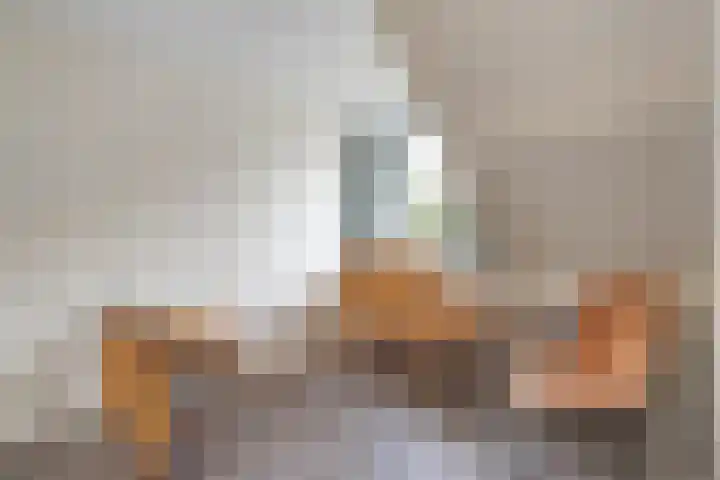 Zende 48 Zuidwolde thumbnail 31