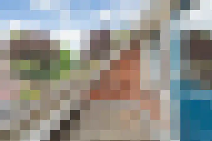 Zende 48 Zuidwolde thumbnail 32