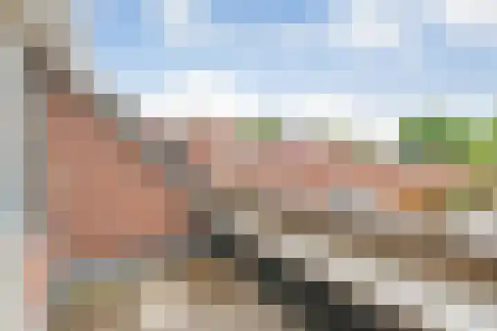 Zende 48 Zuidwolde thumbnail 33