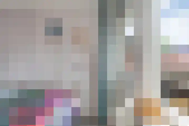 Zende 48 Zuidwolde thumbnail 35