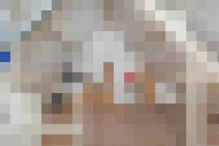 Zende 48 Zuidwolde thumbnail 40