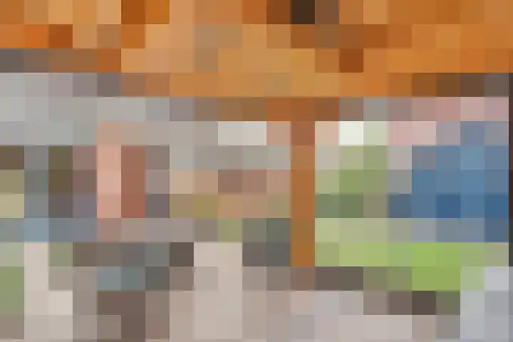 Zende 48 Zuidwolde thumbnail 47