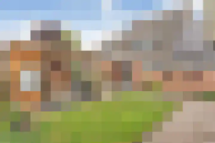 Zende 48 Zuidwolde thumbnail 49