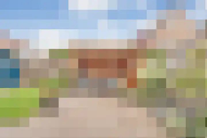 Zende 48 Zuidwolde thumbnail 5
