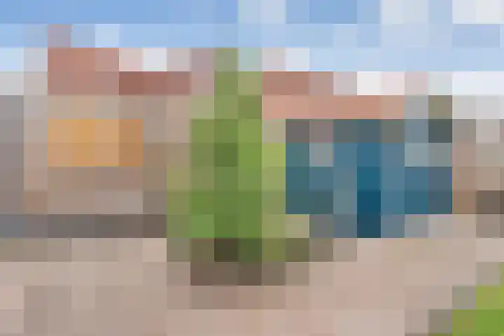 Zende 48 Zuidwolde thumbnail 50