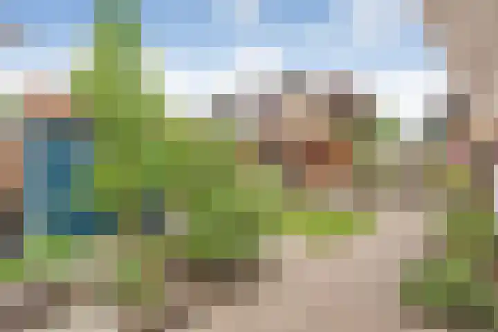 Zende 48 Zuidwolde thumbnail 51