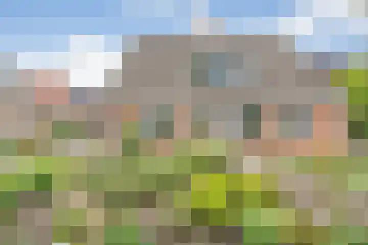 Zende 48 Zuidwolde thumbnail 52