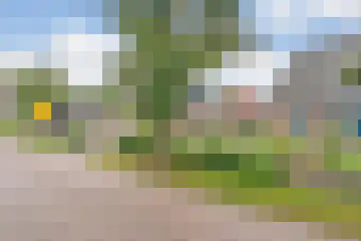 Zende 48 Zuidwolde thumbnail 53