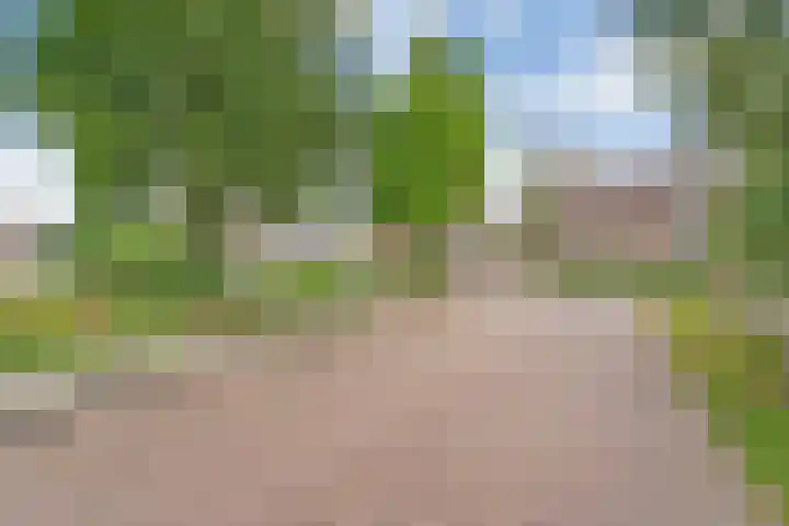 Zende 48 Zuidwolde thumbnail 54