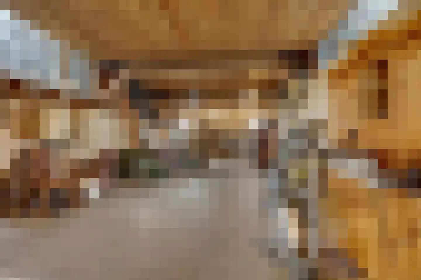 Zenderensestraat 10 Zenderen thumbnail 17